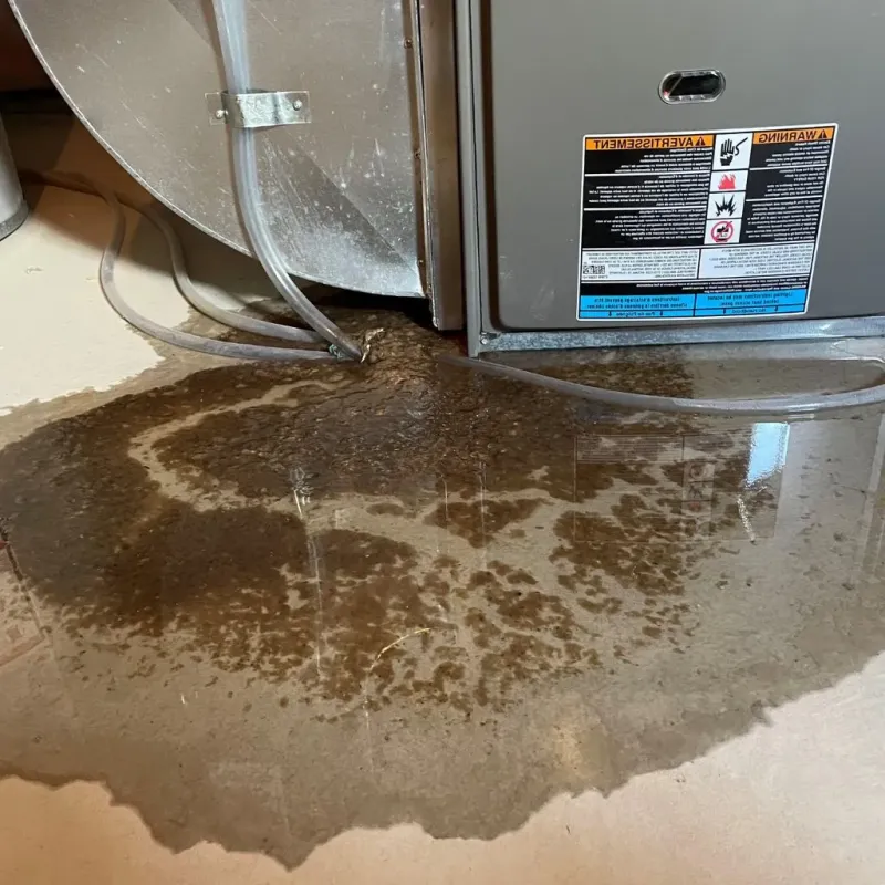 Pipe Burst and Leak Restoration in La Grange Park, IL